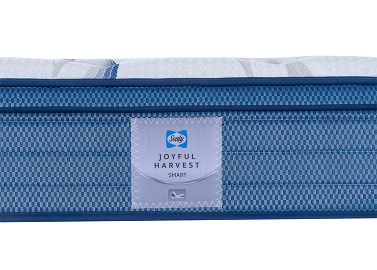 22_0000_dsc6238 拷贝